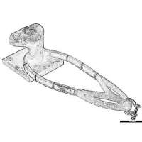 Cinghia d’ormeggio DOUGLAS MARINE