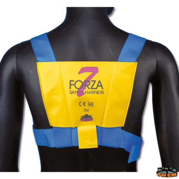 Cintura di sicurezza FORZA 7