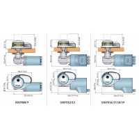 Dp2 S/campana