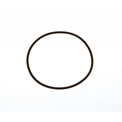 Guarnizione O-ring