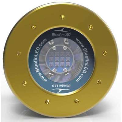 LED subacquei Mako M12 Bluefin