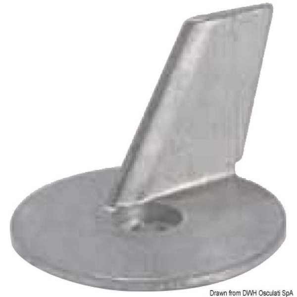 Pinna
