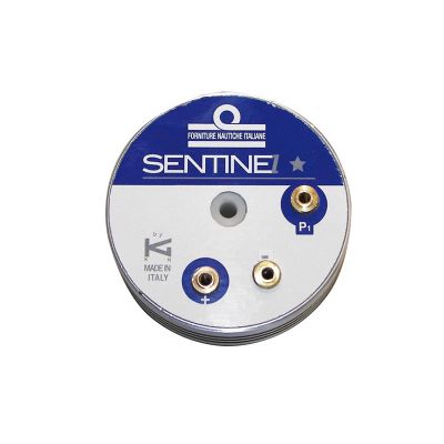 Sentinel One Star