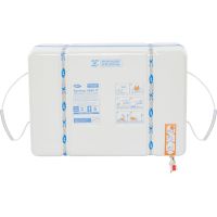 Zattera Syntesy 9650 Italia-1743165591